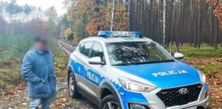 Wybrał się na grzyby. Z lasu zabrała go policja