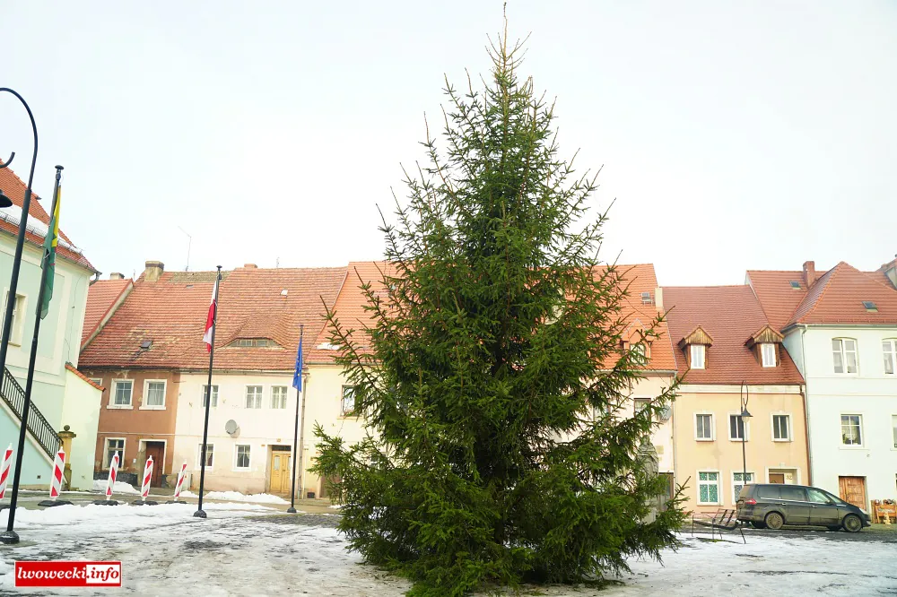 choinka lubomierz1