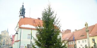 Lubomierski rynek przyozdobiła choinka