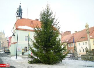 Lubomierski rynek przyozdobiła choinka