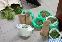 Policjanci z Lwówka Śląskiego rozbili zorganizowaną grupę przestępczą