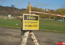 stadion miejski w Lwówku Śląskim