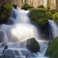 dziki wąwóz rezerwat przyrody maciejowiec pokrzywnik 25