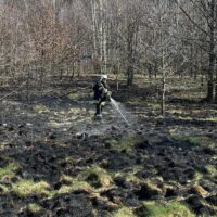 Strażacy dysponowani do pożaru nieużytków