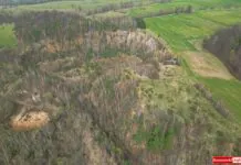 rezerwat przyrody kamieniołom w Radomicach Wleń lwówecki