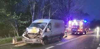 Śmiertelne potrącenie konia. Nietypowe zdarzenie na DK 30