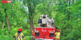 Radomiłowice straż drzewo 15