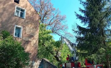 Drzewo runęło na budynek mieszkalny