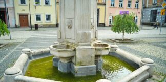 Wleń pomnik Gołębiarki fontanna sinice