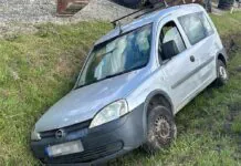 wypadek Krzewie wielkie