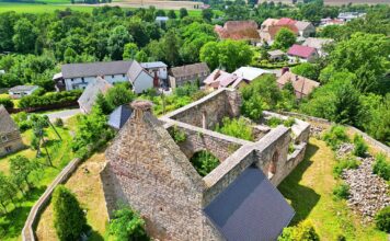 Nie żyją bociany z Soboty