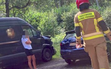 Zderzenie audi z mercedesem. Winne … drzewo?