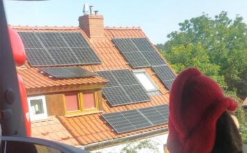 Szerszenie w budynku. Na pomoc ruszyli strażacy