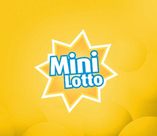 Główna wygrana w Mini Lotto padła w powiecie lwóweckim