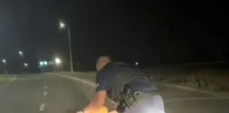 Sarna z kanistrem na łbie wyszła na drogę. Interweniowali policjanci. WIDEO