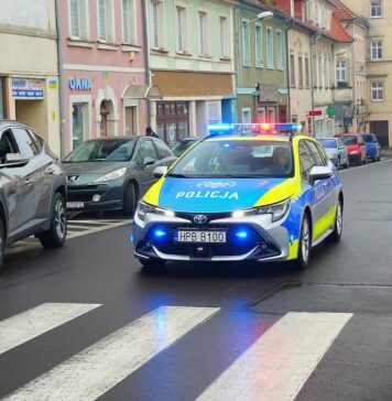 Z samochodu prosto do więzienia. Na początek odsiedzi pół roku