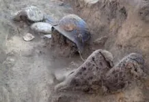Odkryli szczątki 11 żołnierzy niemieckich stowarzyszenie pomost Lubań