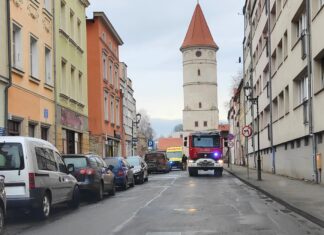 nagłe zatrzymanie krążenia NZK lwówek orzeszkowej