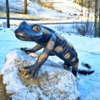 Park Uzdrowiskowy Czerniawa- Zdrój