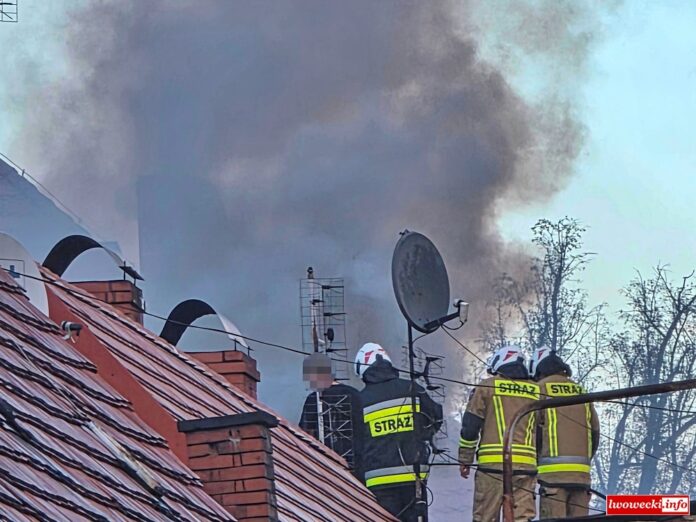 pożar sadzy komin wleń 1