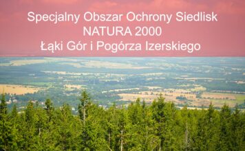 Konsultacje społeczne ochrony obszaru Natura 2000 Łąki Gór i Pogórza Izerskiego