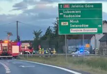 Kiedy na drodze krajowej w Krzewiu Wielkim stanie sygnalizacja świetlna?