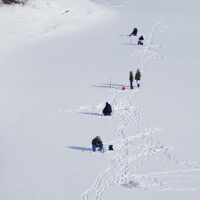 Wchodzą na kruchy lód. Ryzykują życie