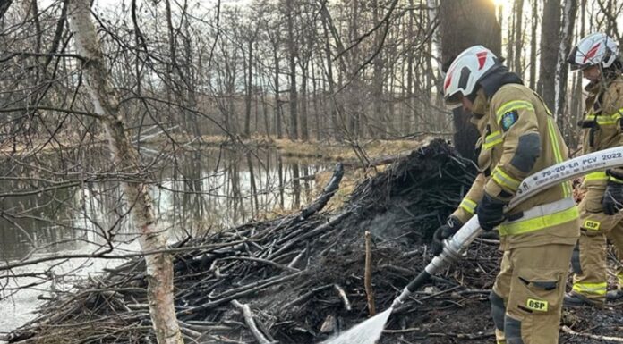 Seria groźnych pożarów w powiecie lwóweckim