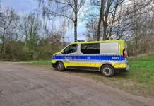 Policyjny radiowóz w lesie