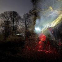 Stare drzewo stanęło w ogniu