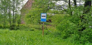 Płakowice przystanek pokrzywy 2