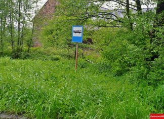 Płakowice przystanek pokrzywy 2