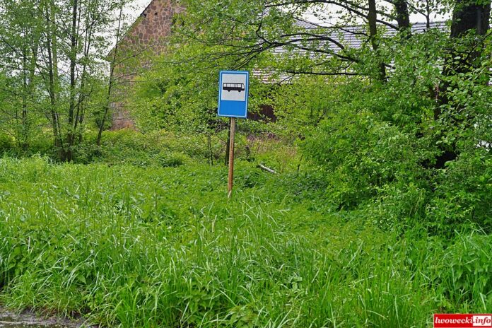 Płakowice przystanek pokrzywy 2
