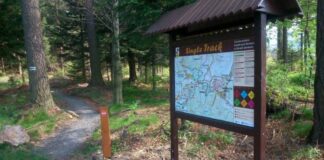 Singletrack