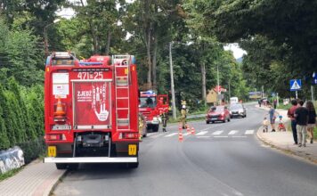 Drogowy klasyk. Na miejscu straż i policja