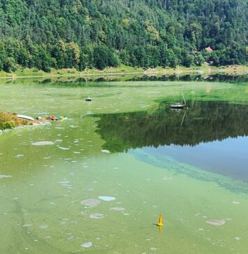 sinice smród jezioro pilchowickie dolny śląsk atrakcje