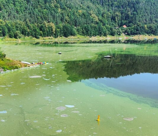 sinice smród jezioro pilchowickie dolny śląsk atrakcje