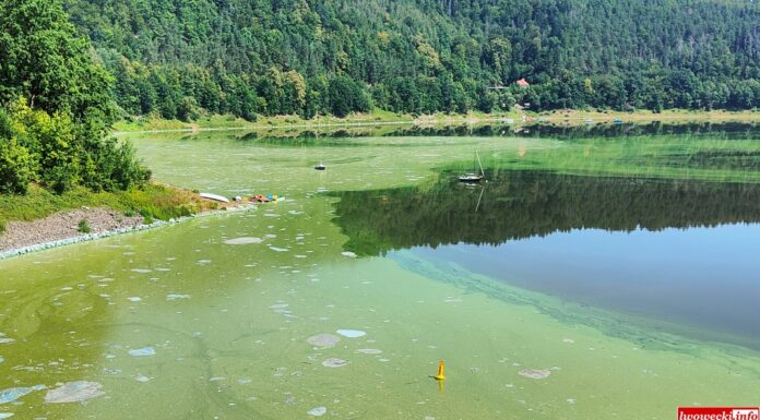 sinice smród jezioro pilchowickie dolny śląsk atrakcje