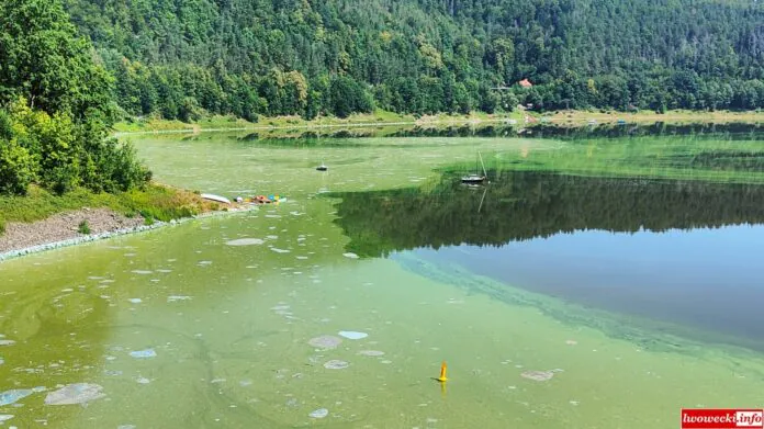 sinice smród jezioro pilchowickie dolny śląsk atrakcje