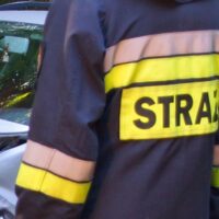 Mercedesem w Citroena