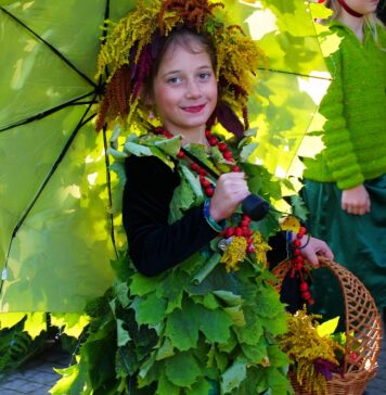 Za nami XVI Dolnośląski Festiwal Dary Lasu