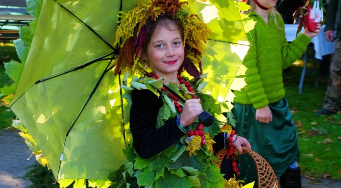 Za nami XVI Dolnośląski Festiwal Dary Lasu