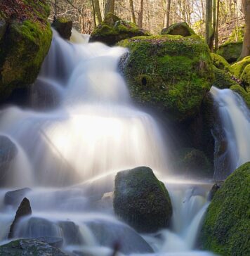 Rezerwat Przyrody Dziki Wąwóz Dziki Wodospad Maciejowiec