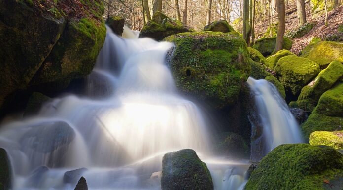 Dziki Wąwóz Rezerwatem Przyrody Rezerwat Przyrody Dziki Wąwóz Dziki Wodospad Maciejowiec