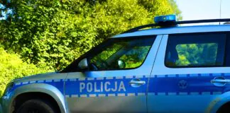 Policja o dewastacji samochodu w Lwówku Śląskim