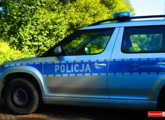 policja 1