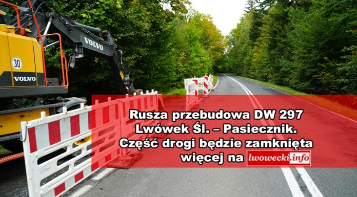 Rusza przebudowa drogi Lwówek Śl. – Pasiecznik. Część drogi będzie zamknięta