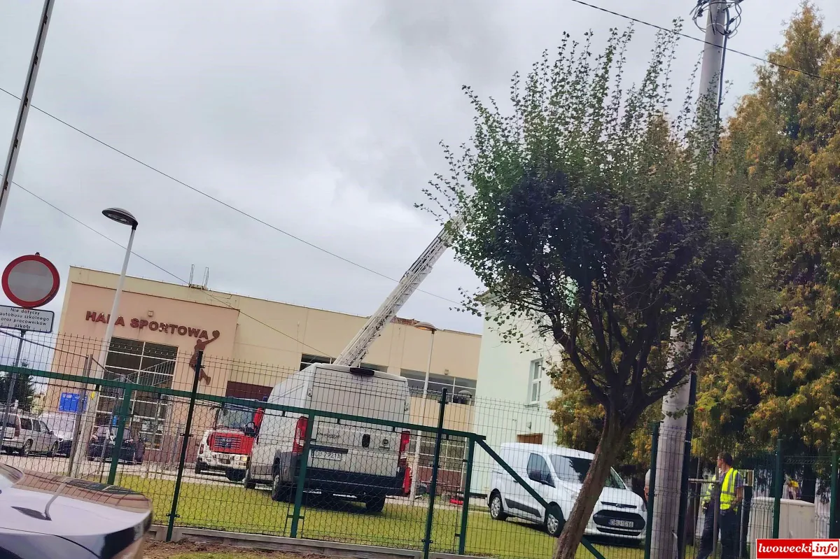 wypadek nzk gryfow 1