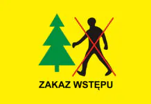 Czasowe zamknięcie szlaku przez las