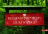 Czy będzie sąd nad Rezerwatem Przyrody Dziki Wąwóz? Sąd - Tablica Rezerwat Przyrody Dziki Wąwóz na tle lasu